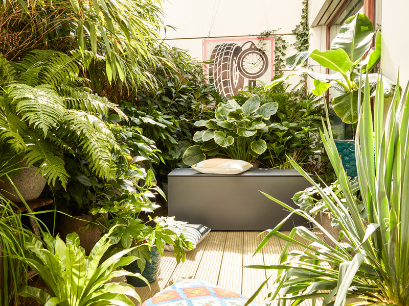 Graue Kissentruhe EL PECHO, umgeben von üppiger grüner Vegetation auf einer Terrasse. Die Truhe dient als Sitzgelegenheit und Aufbewahrungslösung. Auf ihr liegt ein helles Kissen. Im Hintergrund eine künstlerische Wanddekoration mit Reifenmotiv. Die Szene wirkt einladend und harmonisch.