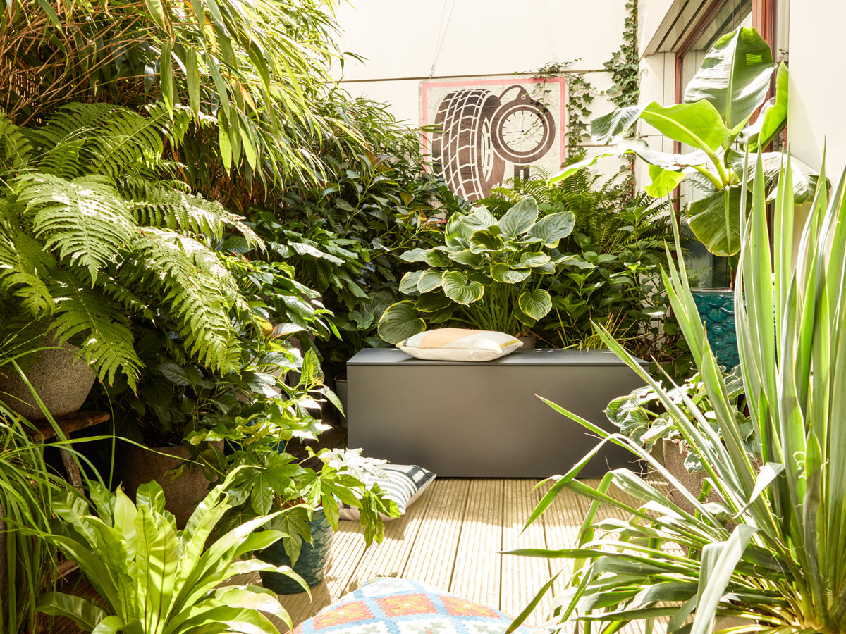 Graue Kissentruhe EL PECHO, umgeben von üppiger grüner Vegetation auf einer Terrasse. Die Truhe dient als Sitzgelegenheit und Aufbewahrungslösung. Auf ihr liegt ein helles Kissen. Im Hintergrund eine künstlerische Wanddekoration mit Reifenmotiv. Die Szene wirkt einladend und harmonisch.