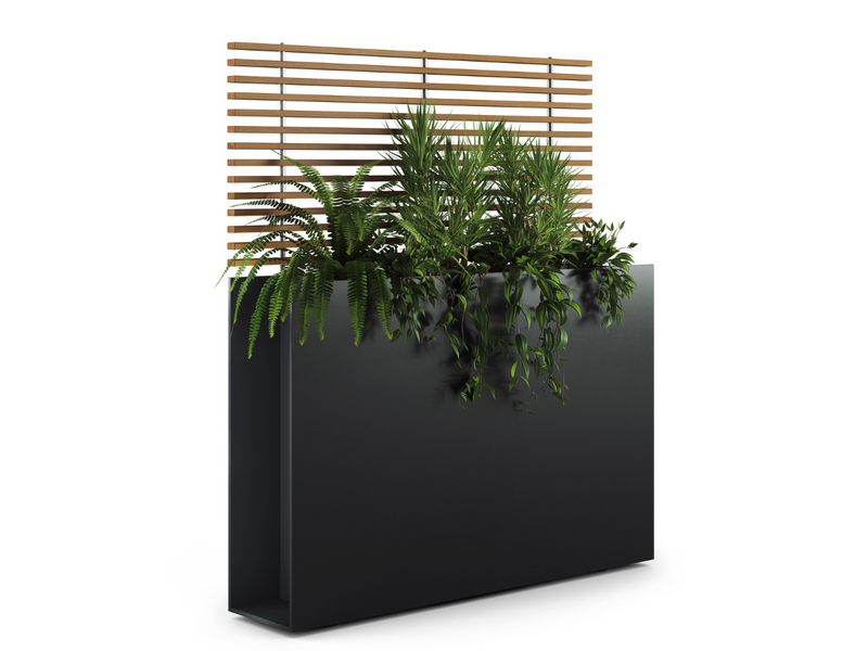 SOTOMON . Pflanzgefäß