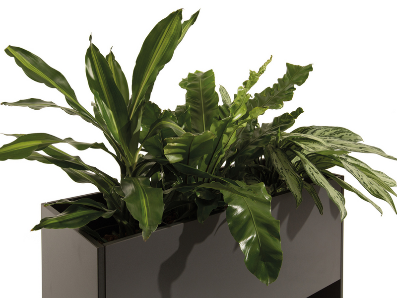 TICINO . Pflanzgefäß