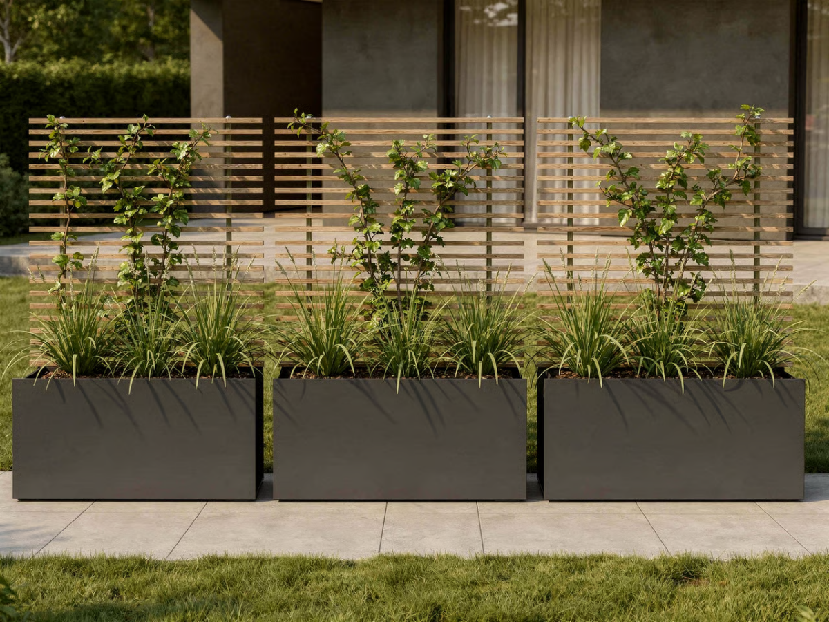 SOTOMON . Pflanzgefäß . Low