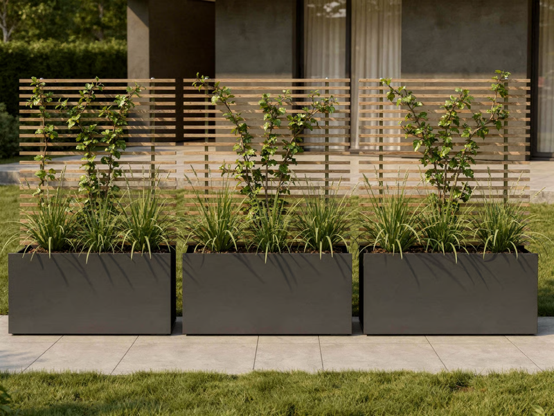 SOTOMON . Planter . Low