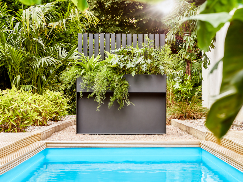 TICINO . Pflanzgefäß