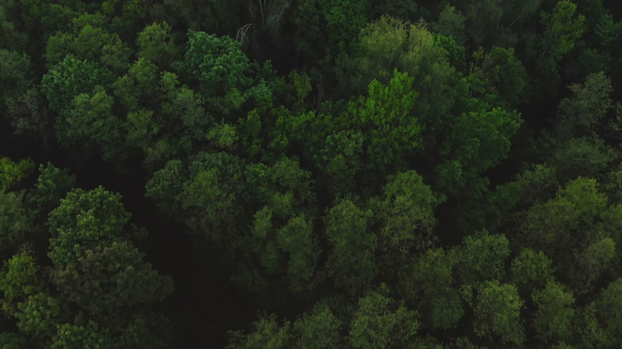 Video laden: 